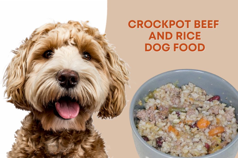 Crockpot Beef and Rice Dog Food