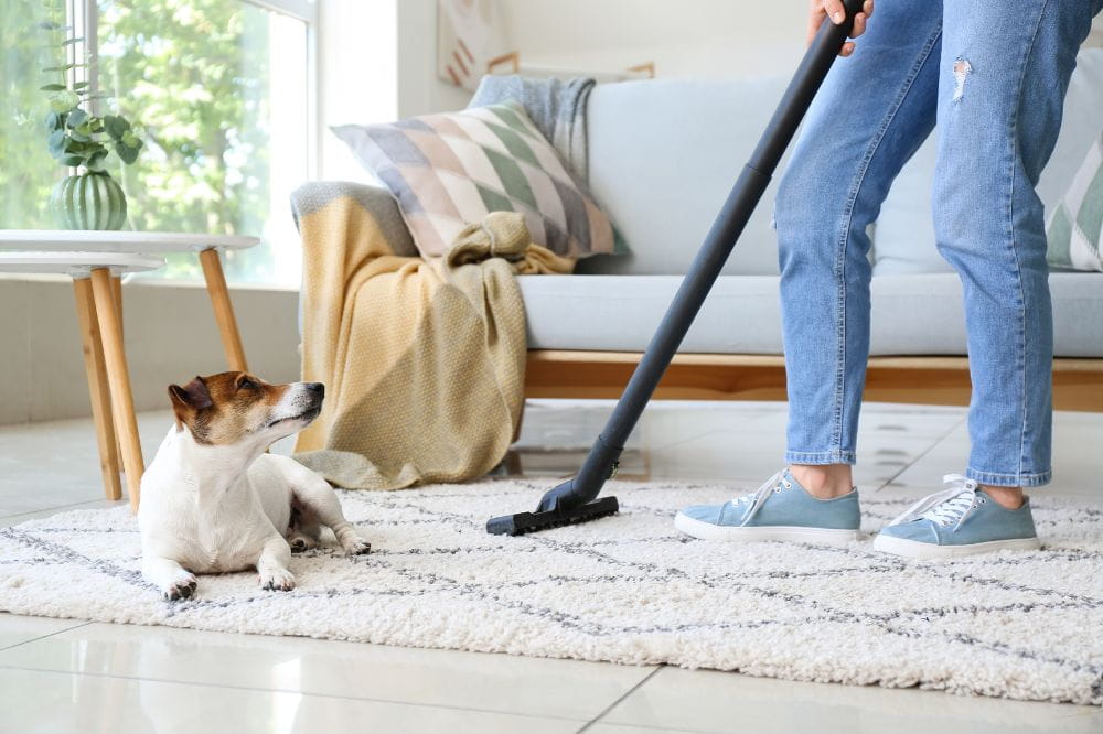 Safe Cleaning of Carpets in a Baby's Room - Chelsea Cleaning