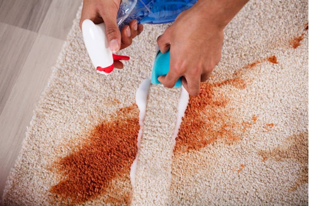 Remove Food Stains from Carpet