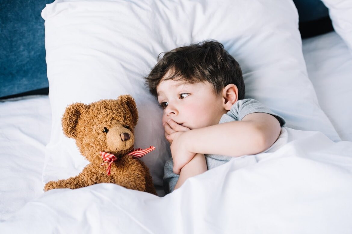 hugging pillow animal