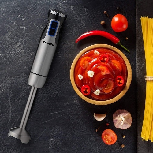 Immersion Hand Blender