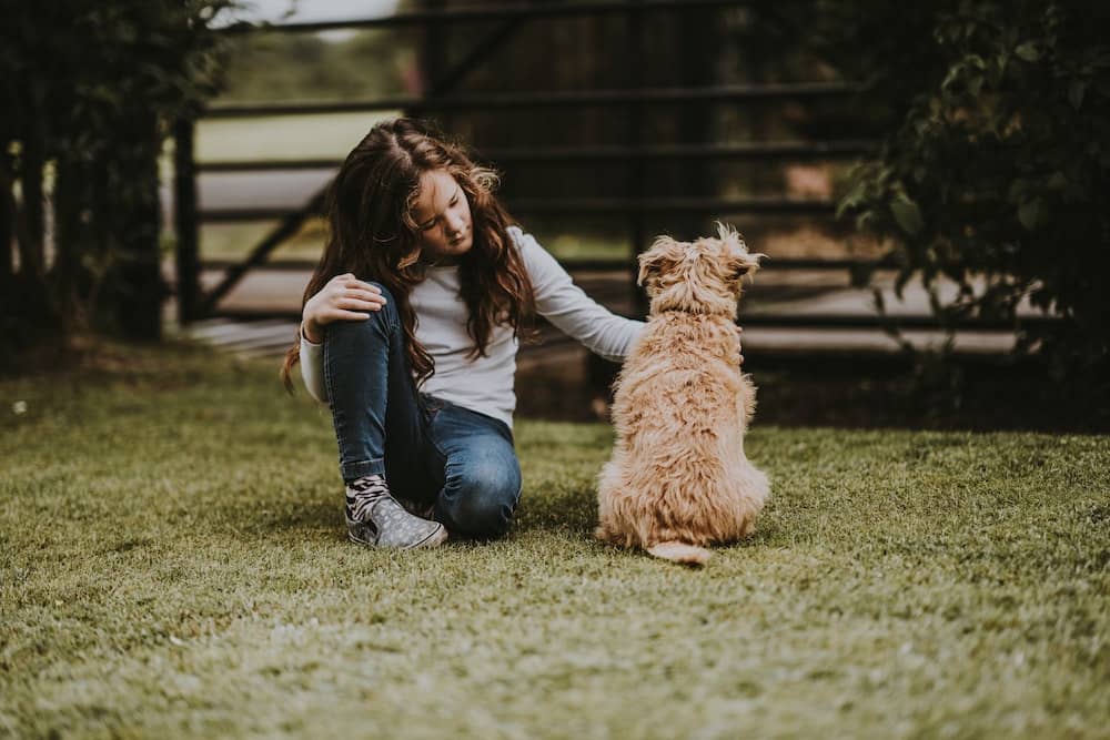 Teach Your Kids How To Take Care Of A Dog