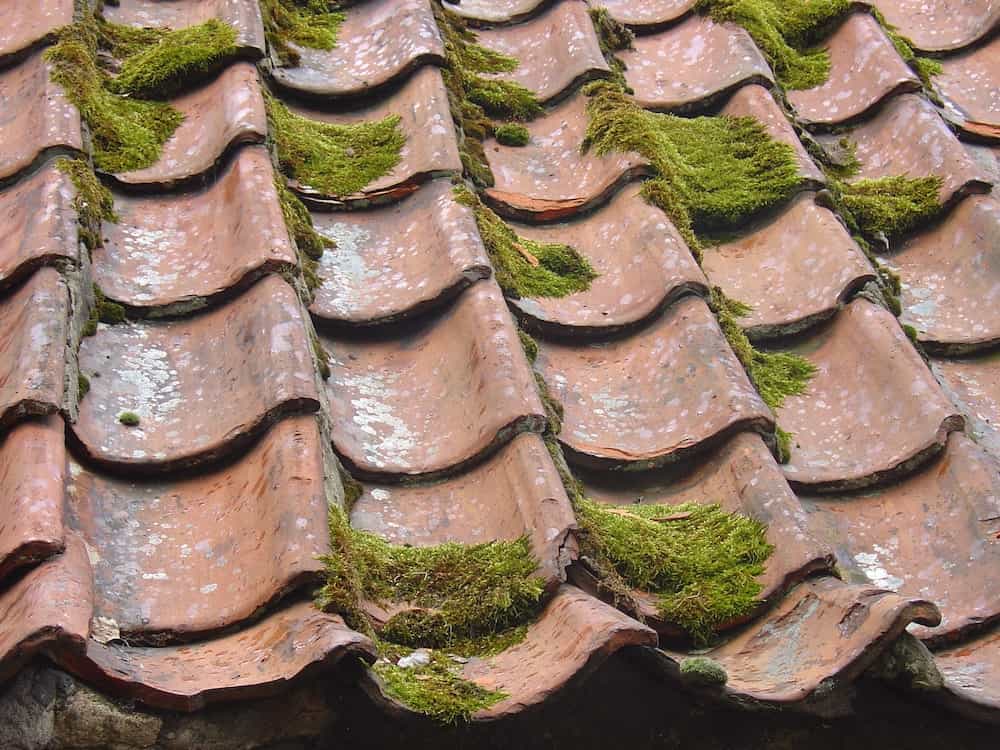 Ignoring Roofing Problems Can Be a Costly Mistake