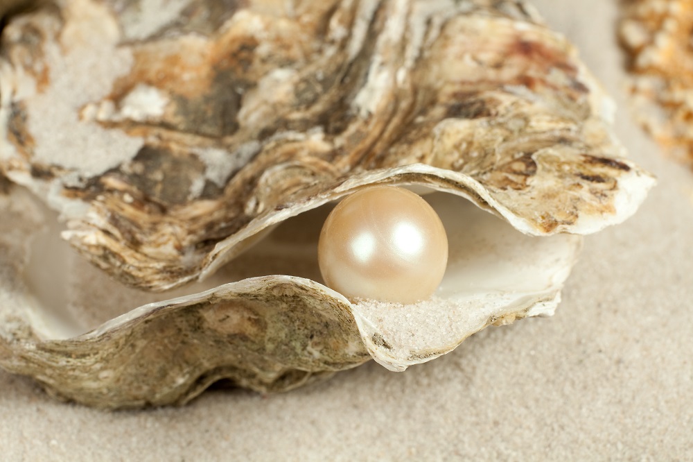 Pearls in stories and paintings 