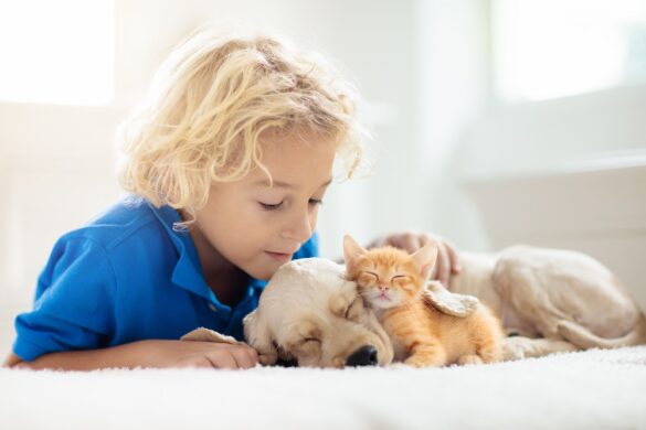 What are the Best Pets for Children