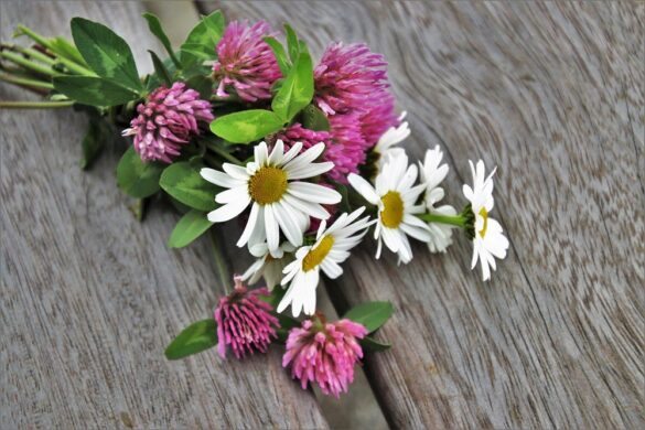 A Florist’s Guide to Choosing the Best Bouquet Flowers for Bridesmaids A Florist's Guide to Choosing the Best Bouquet Flowers for Bridesmaids