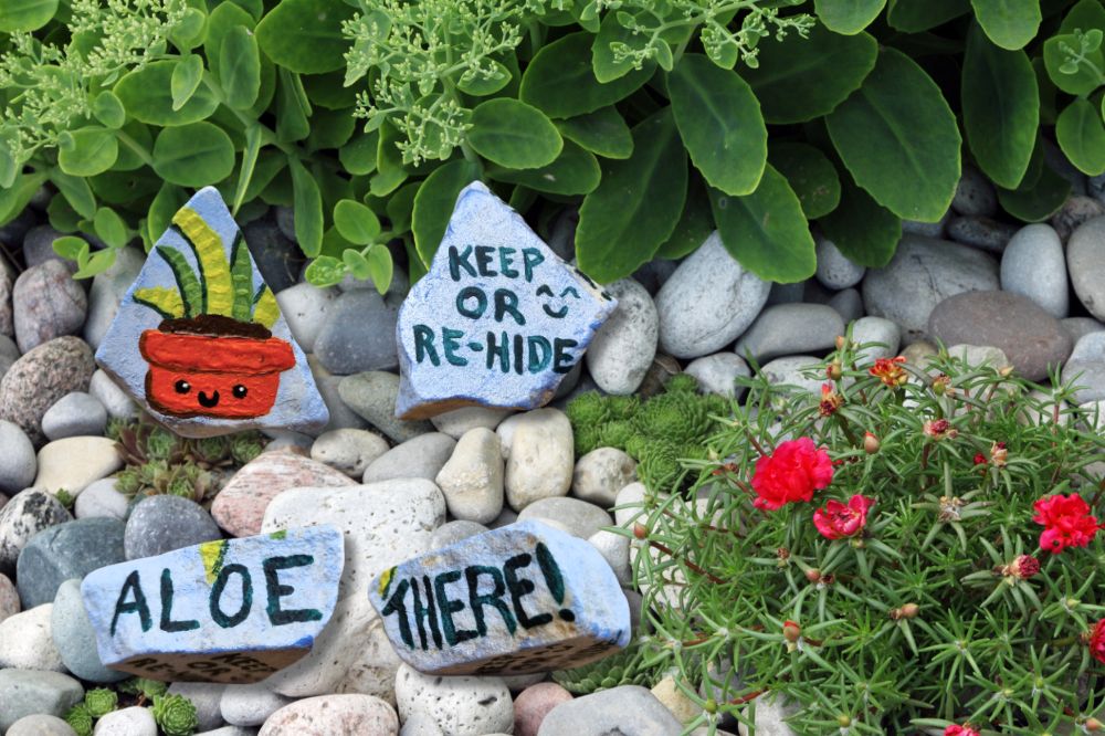 cute DIY Stone art