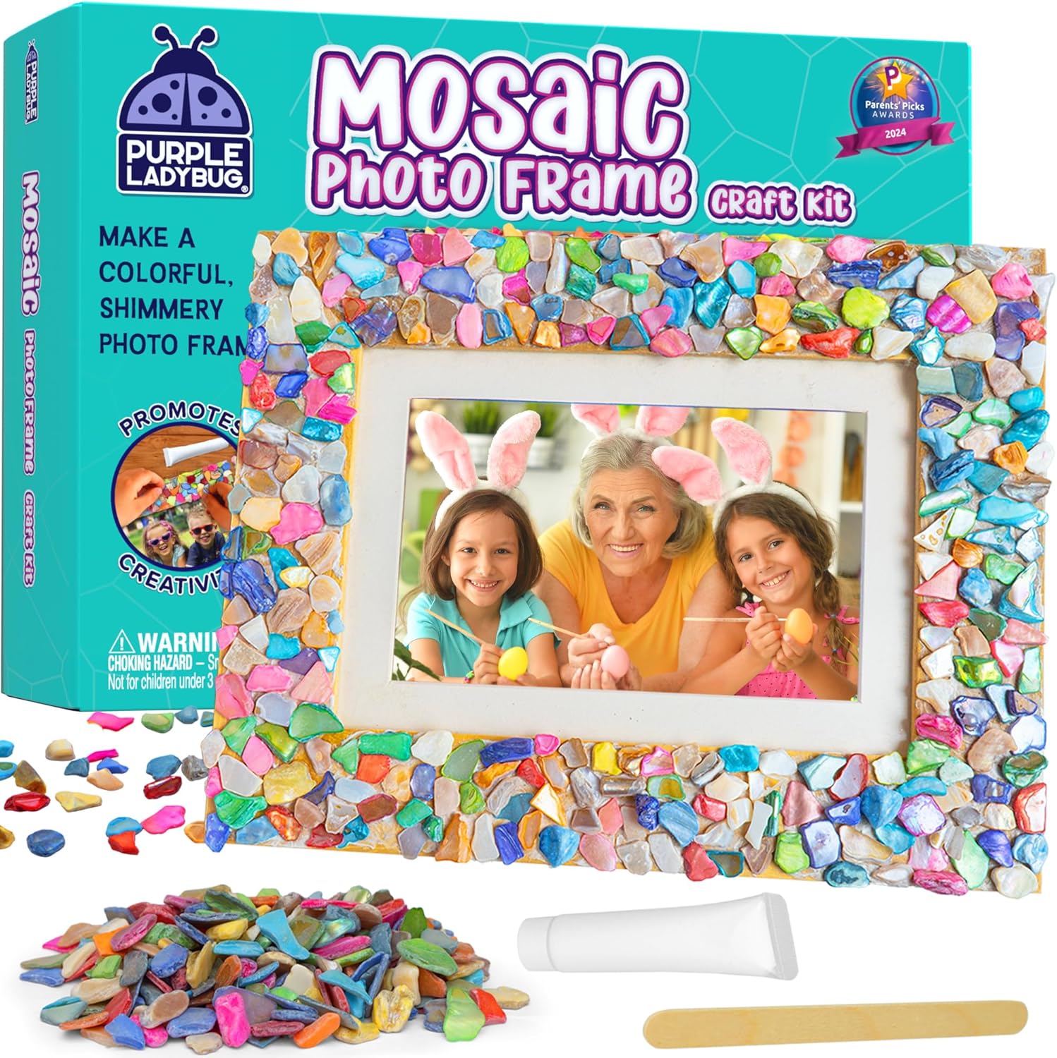 PURPLE LADYBUG DIY Picture Frame Craft Kit for Kids
