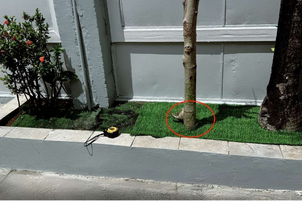 Make a hole in the fake grass for plants