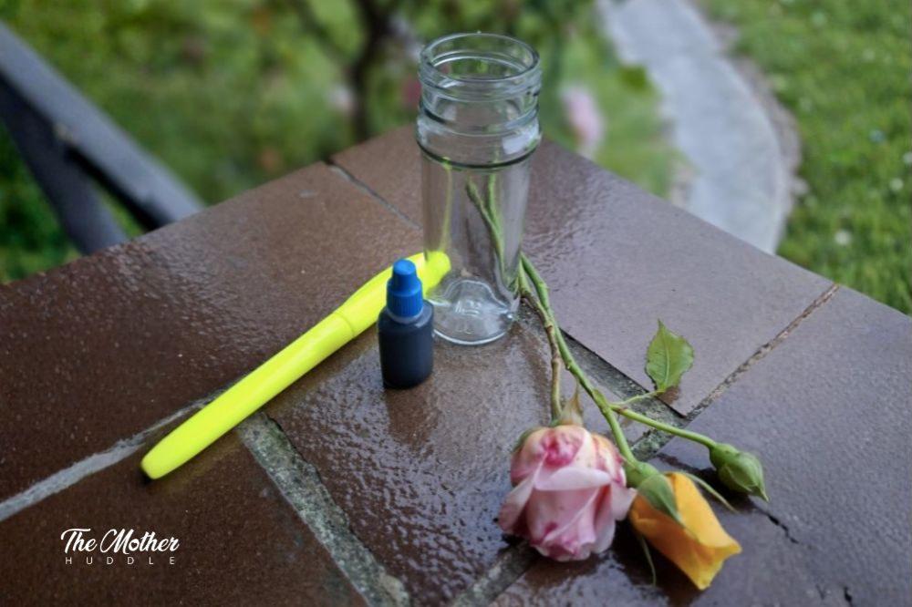 Fluorescent Flower Dye Activity Materials Needed