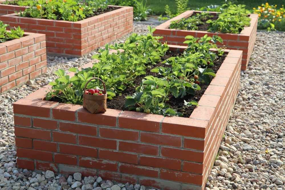 Brick Raised Garden Bed