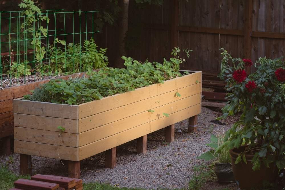 Wooden Raised Garden Bed