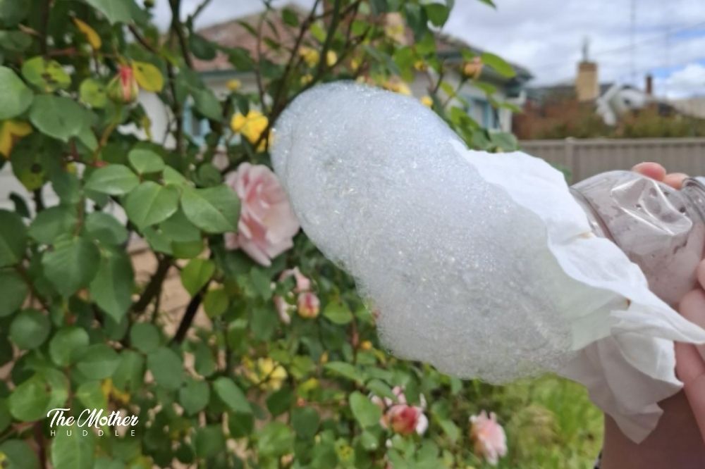 bubbles from the bottle