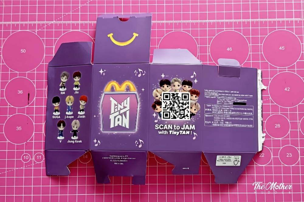 Step 1 Disassemble the TS Tiny TanBox