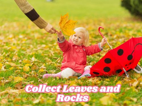 Collect Leaves and Rocks