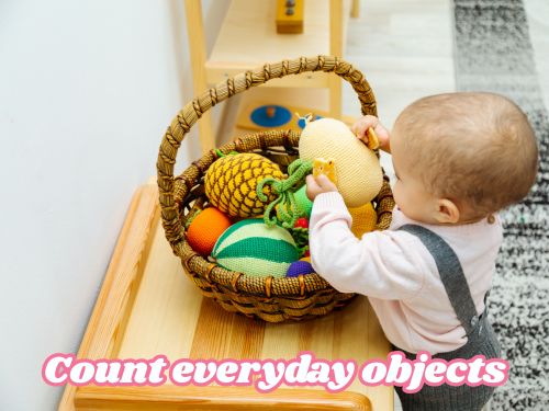 Count Everyday Objects