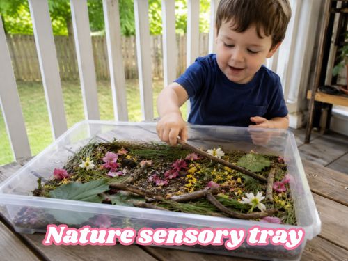 Nature Sensory Tray