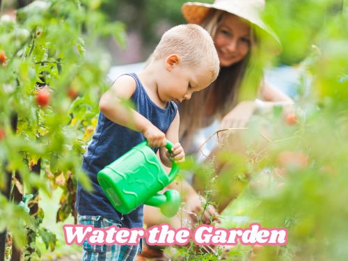 Water the Garden