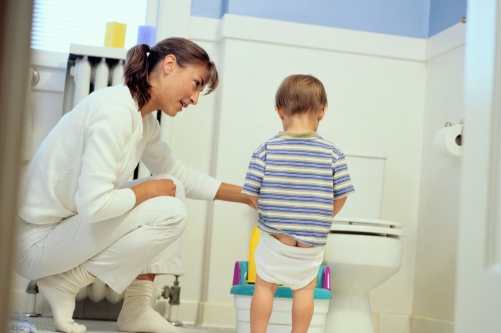 Toddler Is Ready for Potty Training