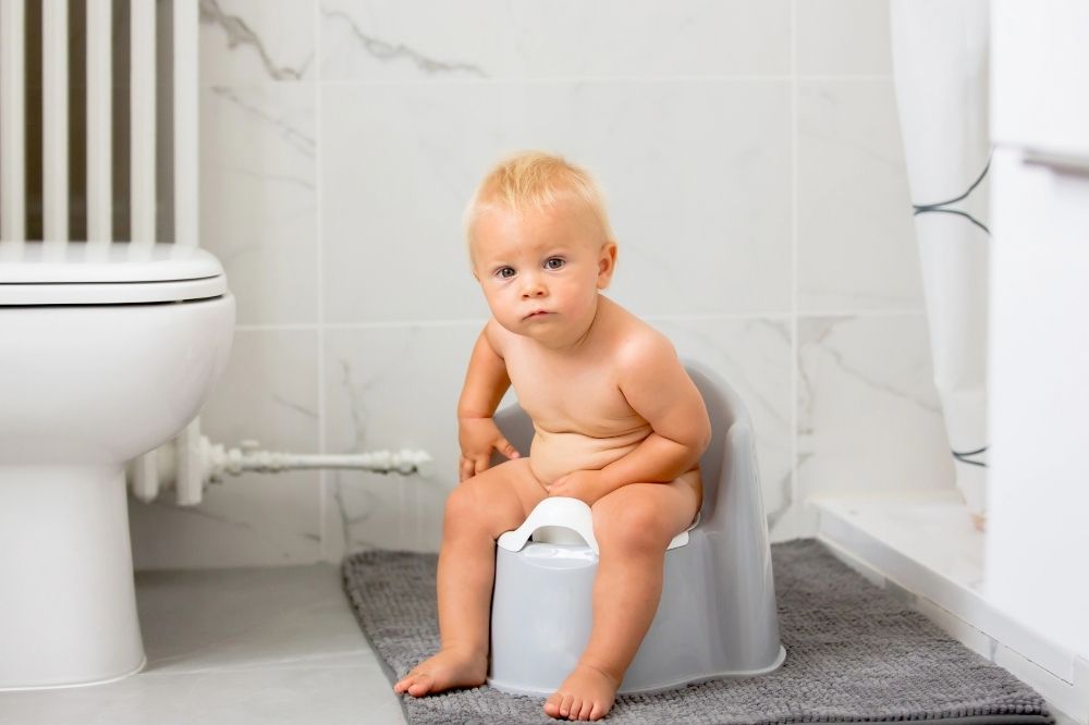 A toddler sitting in a potty chair in the bathroom